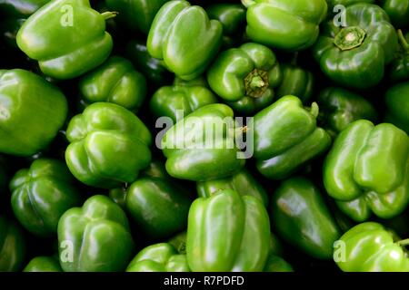 Fresh raw organic green bell peppers in a farmers market in Jaipur, Rajasthan, India. Stock Photo