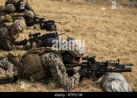 U.S. Marines with 3D Reconnaissance Battalion, 3D Marine Division, III Marine Expeditionary Force, fire down range to Battle Sight Zero (BZO) their weapons during Korea Marine Exercise (KMEP) 17-6 at SuSong Ri, Pohang, South Korea, on March 20, 2017. The purpose of KMEP 17-6 is to enhance and improve the interoperability of both U.S. Marine Corps and Republic of Korea Marines at the tactical level to build warfighting capabilities as partners. This includes ground combat element staff planning, mechanized maneuvers, mountain warfare training, bilateral tank operations and live fire ranges. Stock Photo