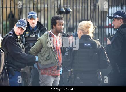Intruder arrested inside the grounds of Parliament, Westminster, London Credit: Finnbarr Webster/Alamy Live News Stock Photo