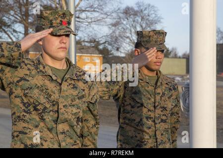 U.S. Marines Lance Cpl. Jack Tashjian and Lance Cpl. Austin Robinson, a landing support specialist and warehouse clerk respectively, salute the American flag at Vaernes Garnison, March 30, 2017. Marine Rotational Force Europe 17.1 upholds traditions as Marines and sailors represent a forward presence in Europe. Stock Photo