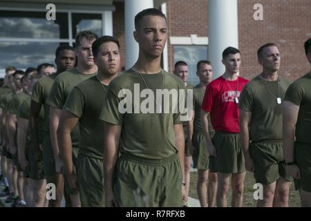 U.S. Marines with 2d Combat Engineer Battalion (CEB), 2nd Marine Division (2d MARDIV), stand in formation on Camp Lejeune, N.C., April 1, 2017.  The Marines wear the identification tags of the 29 fallen comrades during the 2nd annual 50 mile run ceremony. Stock Photo