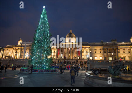 Trafalgar Square, London, UK. December 2018. The traditional Christmas tree, gifted by Norway, lit up in central London. Stock Photo