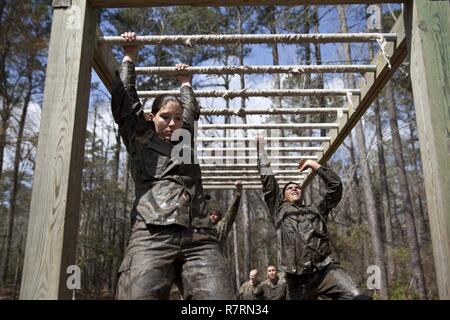 U.S. Marines assigned to Ground Supply School (GSS), Marine Corps Combat Service Support Schools, conduct an obstacle at Camp Johnson, N.C., March 29, 2017. The Marines of GSS ran to three different stations that consisted of either obstacles or buddy drags and fireman carries to ensure combat conditioning and unit cohesion. Stock Photo
