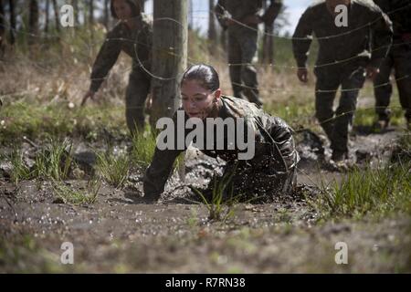 A U.S. Marine assigned to Ground Supply School (GSS), Marine Corps Combat Service Support Schools, crawls through the mud during an endurance run at Camp Johnson, N.C., March 29, 2017. The Marines of GSS ran to three different stations that consisted of either obstacles or buddy drags and fireman carries to ensure combat conditioning and unit cohesion. Stock Photo