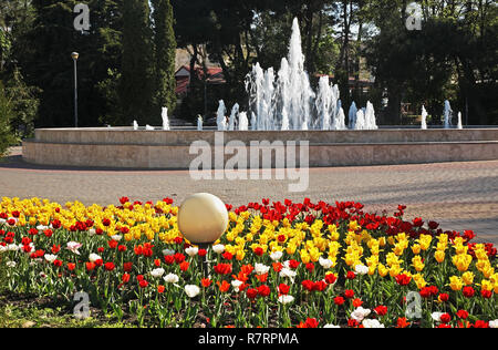 Central park in Anapa. Krasnodar Krai. Russia Stock Photo