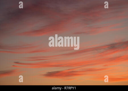 Pink and orange Cirrus clouds at dusk, Ireland Stock Photo