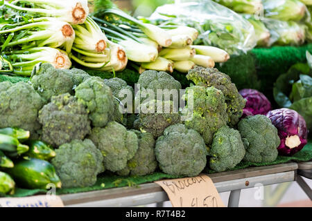 Raw green vegetables for sale with sign, broccoli, escarole salad, courgette zucchini in stall on display at farmers market in Pimlico, London Stock Photo