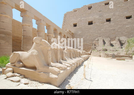 Columns and statues, Karnak Temple Complex, UNESCO World Heritage site, Thebes, Luxor, Luxor Governorate, Egypt Stock Photo