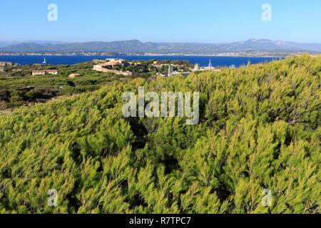 France, Var, Six Fours beaches, Archipel des Embiez, La Tour Fondue Island Stock Photo