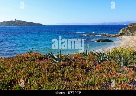 France, Var, Six Fours beaches, Archipel des Embiez, La Tour Fondue island, Grand Rouveau island in the background Stock Photo