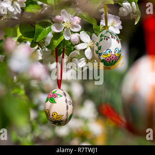 Easter egss hanging on the twig of apple tree in the garden Stock Photo