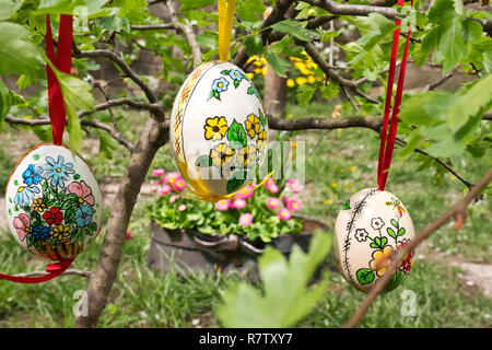 Easter egss hanging on the twig in the garden Stock Photo