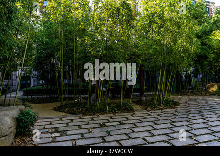 Bamboo Trees in Urban Residential Area Park with Paths and Bricked Floor Stock Photo