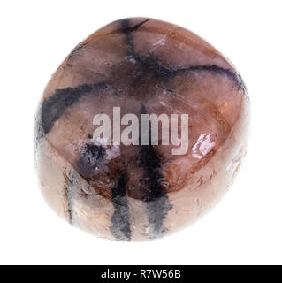 macro photography of natural mineral from geological collection - polished chiastolite (cross stone) gem on white background Stock Photo