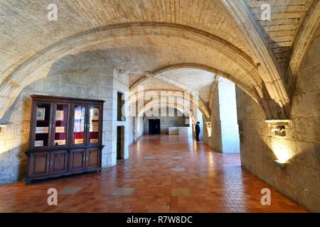 France, Charente, Cognac, Valois Castle, 15th -16th century castle where King Francois I was born, Otard Stock Photo