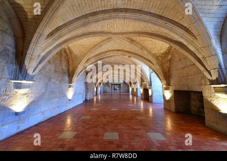 France, Charente, Cognac, Valois Castle, 15th -16th century castle where King Francois I was born, Otard Stock Photo