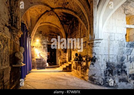 France, Charente, Cognac, Valois Castle, 15th -16th century castle where King Francois I was born, Otard Stock Photo