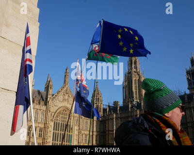 London, UK. 11th December, 2018. Pro-EU people's vote Brexit protesters demonstrate by waving flags in front of the Houses of Parliament in Westminster, London. Credit: Ben Slater/Alamy Live News Stock Photo