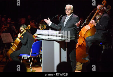 Cottbus, Germany. 11th Dec, 2018. Frank-Walter Steinmeier, Federal President, speaks to the Babelsberg Film Orchestra in the Stadthalle on the occasion of his benefit concert series. In the evening the film 'Drei Haselnüsse für Aschenbrödel' will be shown with live accompaniment by the German Film Orchestra Babelsberg. The money from the ticket sale goes to the Arbeiter-Samariter-Bund (ASB). Credit: Patrick Pleul/dpa-Zentralbild/dpa/Alamy Live News Stock Photo