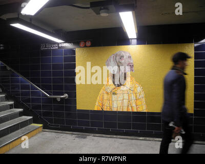 New York, USA. 10th Dec, 2018. A mosaic at 23rd Street underground station shows a work by the artist William Wegman, who regularly photographs his Weimaraner dogs and partly disguises them. (to dpa message: 'Waiting dogs: Weimaraner decorate subway station in New York' from 12.12.2018) Credit: Johannes Schmitt-Tegge/dpa/Alamy Live News Stock Photo