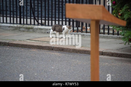 10 Downing Street, London, UK. 12 December, 2018. British Prime Minister Theresa May announces that a vote of no confidence has been sparked and that she will fight the challenge after 48 letters were received by the 1922 Committee. Larry the Downing Street cat passes the lectern before the PM’s announcement. Credit: Malcolm Park/Alamy Live News. Stock Photo