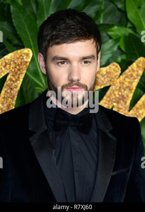 Liam Payne attending the Fashion Awards in association with Swarovski held at the Royal Albert Hall, Kensington Gore, London. Stock Photo