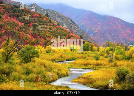 Small river in mountain valley surrounded by Autumn colors. Stock Photo