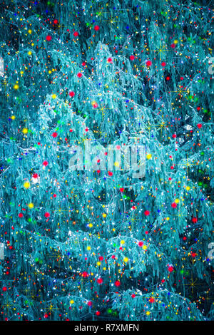 Detail of beautiful natural Christmas tree branches covered in colorful festive lights Stock Photo