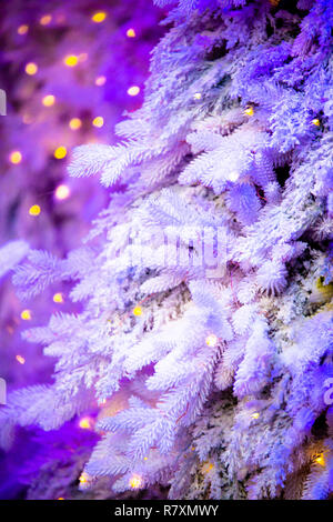 Beautiful snowy winter backdrop image with white Christmas tree against purple with lights Stock Photo