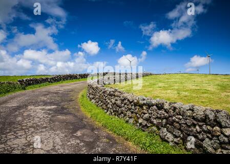 Portugal, Azores, Terceira Island, Serra do Cume, stone wall