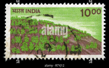 Postage stamp from India in the Agriculture series issued in 1984 Stock Photo