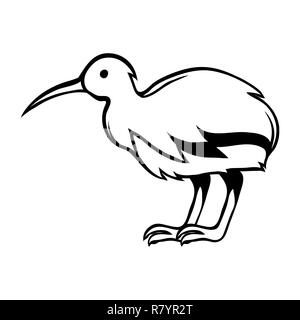 Black and white bird kiwi. Stock Vector