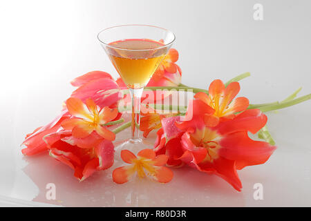 Still life with a bouquet of tulips and wine on a white background Stock Photo