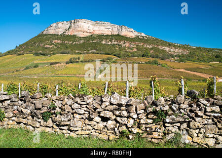 Vergisson (eastern France). Vines of the “Mâconnais” area with the Roche de Solutre (Rock of Solutre and the blue sky in the background Stock Photo