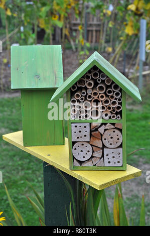 Two green beehive boxes Stock Photo