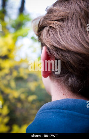 close up rear view of standing young man's left hand side of head with autumnal forest in background Stock Photo