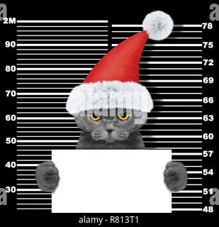 Cute cat as santa claus in prison. Isolated on black Stock Photo