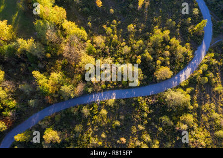 Curvy path in Isarauen, near Gaißach, drone shot, Isarwinkel, Upper Bavaria, Bavaria, Germany Stock Photo