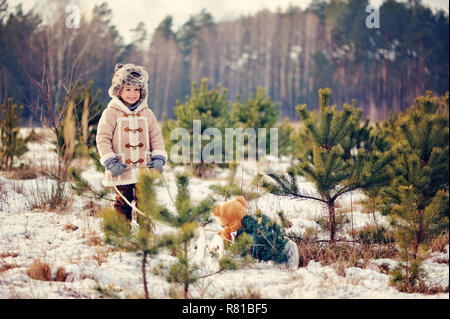 A child decorate a Christmas tree outdoor. The boy hangs red bubbles and eats gingerbreads. He is dressed in a sheepskin coat, in the background green Stock Photo