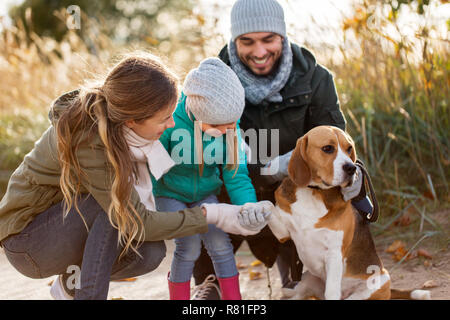 happy family with beagle dog outdoors in autumn Stock Photo