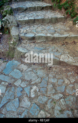 A vertical image of stone steps leading up hill on a nature trail in rural British Columbia Canada. Stock Photo