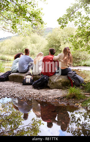 Five young adult friends taking a break sitting on rocks by a stream during a hike, back view, vertical Stock Photo