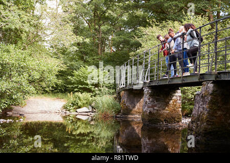 Multi ethnic group of five young adult friends stand looking down from a bridge during a hike Stock Photo