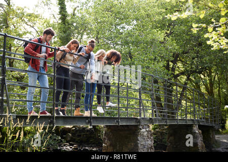 Multi ethnic group of five young adult friends standing on tiptoes looking down from a bridge during a hike Stock Photo