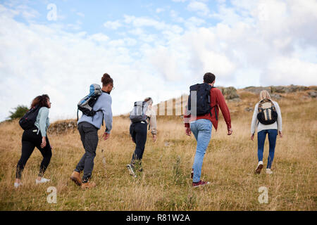 A group of five young adult friends hiking across a field towards the summit, back view Stock Photo