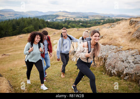 Multi ethnic group of five young adult friends hiking across a field uphill towards the summit, close up Stock Photo