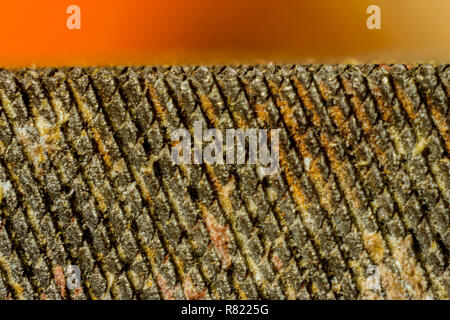 Metal tool rasp , close-up on an orange background. Mesh metal surface. Site about tools, metal, metalworking. Stock Photo