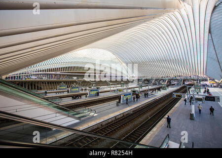 Railway station of Liège, Gare de Liège-Guillemins, designed by the Spanish architect Santiago Calatrava, Lüttich, Wallonia Stock Photo