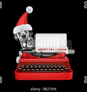 Cute santa dalmatian dog is typing on a typewriter keyboard. Isolated on black Stock Photo