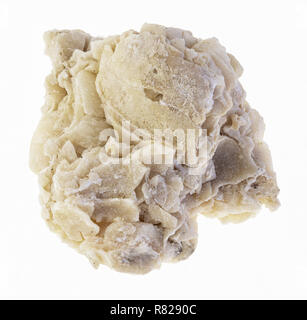 macro photography of natural mineral from geological collection - raw coquina limestone stone on white background Stock Photo